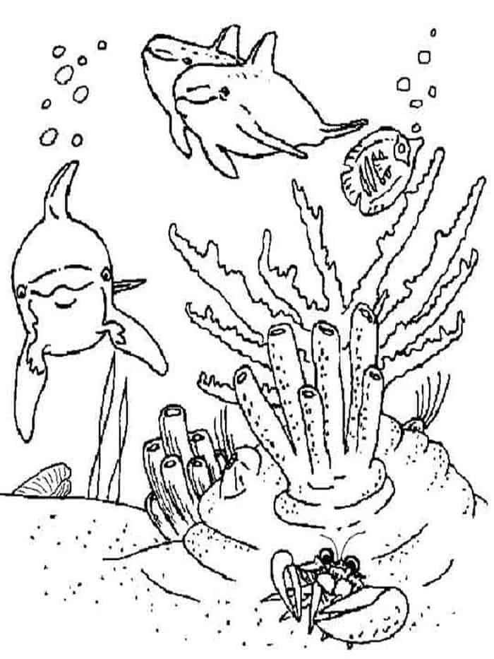 Detailed Coloring Pages Of Sea Animals