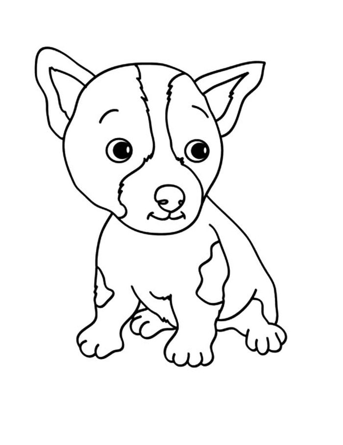 Dog Coloring Pages Chihuahua