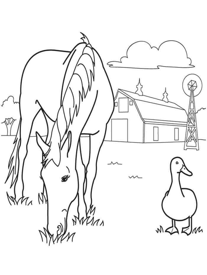 Farm Animal Coloring Pages For Kids
