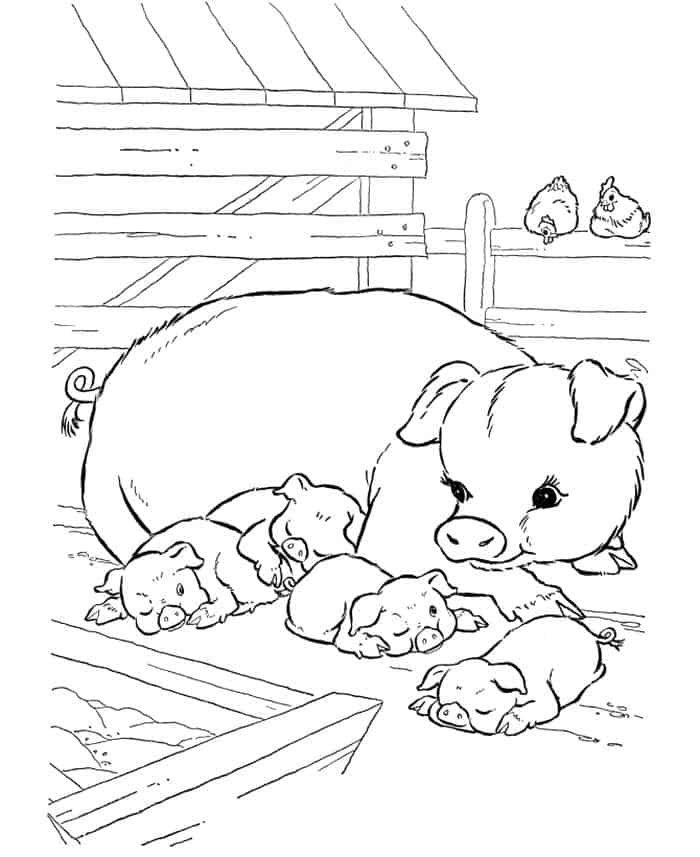 Farm Animal Coloring Pages Free Printable