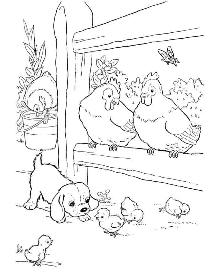 Farm Animal Coloring Pages Head
