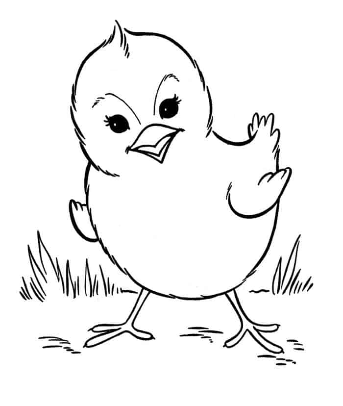 Farm Animal Coloring Pages That Are Hard