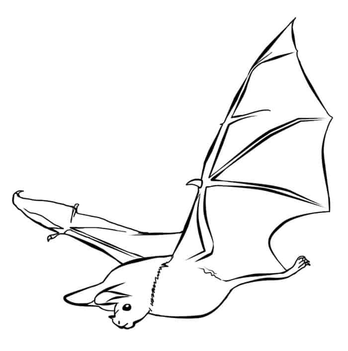 Flying Bat Coloring Pages For Adults