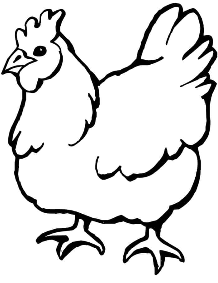 Free Chicken Coloring Pages