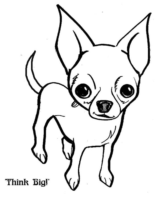 Free Coloring Pages Chihuahua