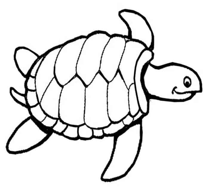 Free Coloring Pages Of Animals Sea Turtle