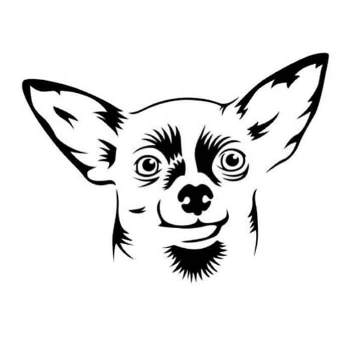 Free Printable Chihuahua Adult Coloring Pages