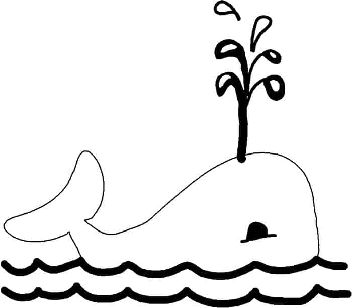 Free Printable Coloring Pages For Kids Whale