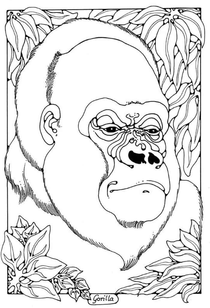 Free Printable Coloring Pages Monster Legends Gorilla