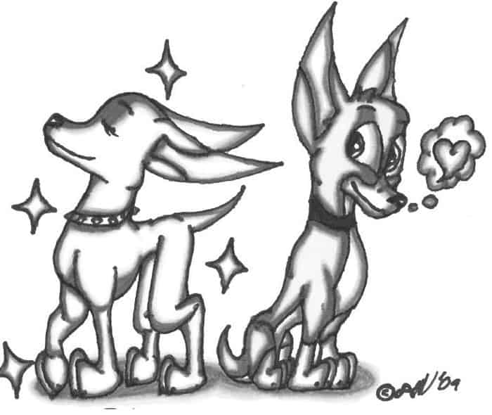 Free Printable Coloring Pages Of Chihuahua For Adults Advanced