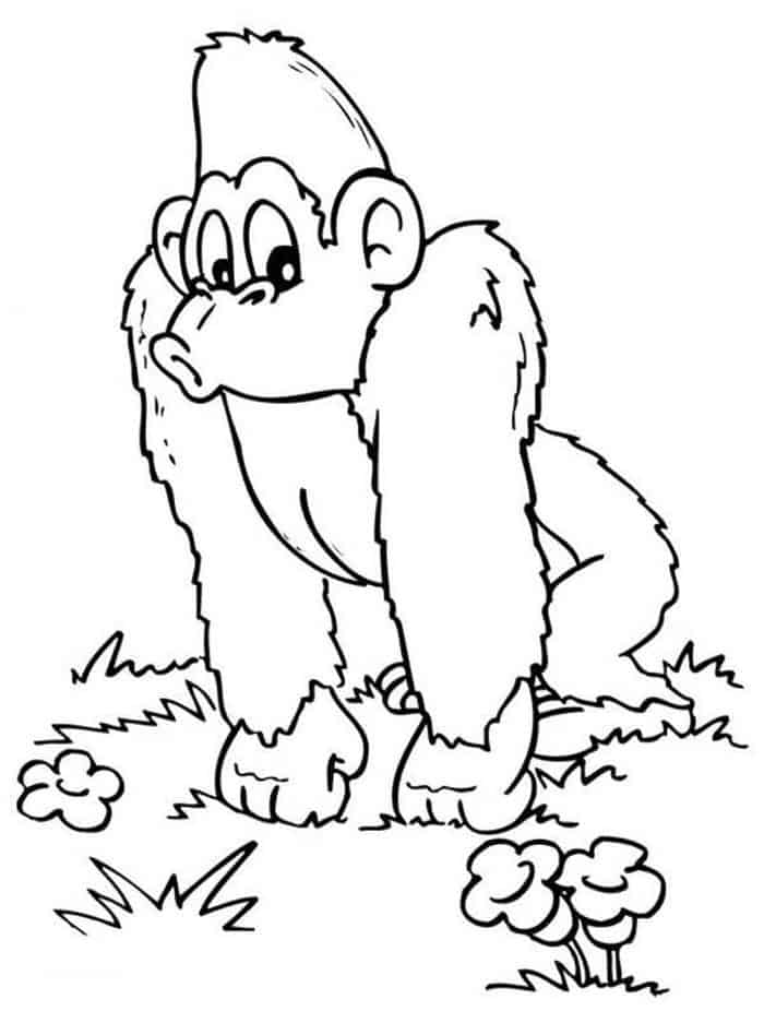 Free Printable Gorilla Coloring Pages