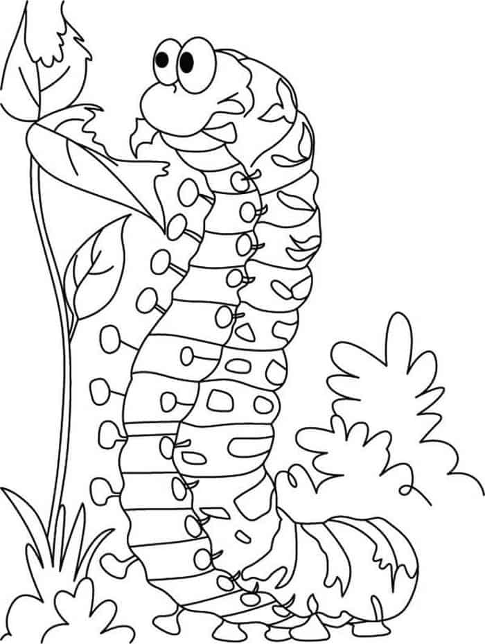 Free Printable Hungry Caterpillar Coloring Pages