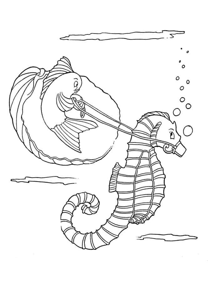 Free Seahorse Coloring Pages To Print