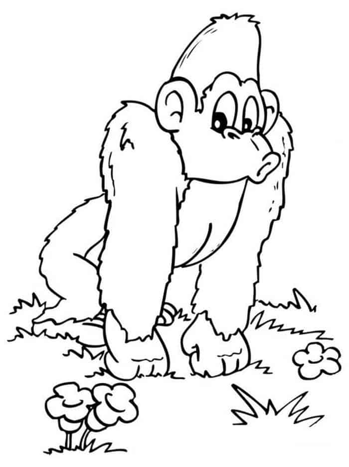 Funny Gorilla Coloring Pages
