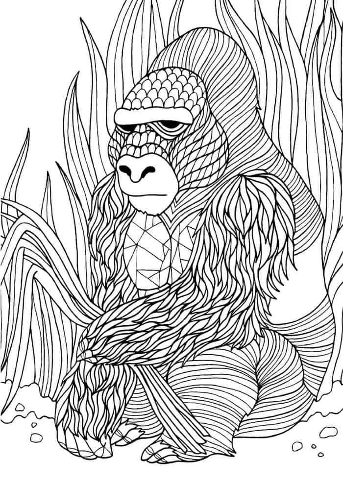 Gorilla Coloring Pages Adults