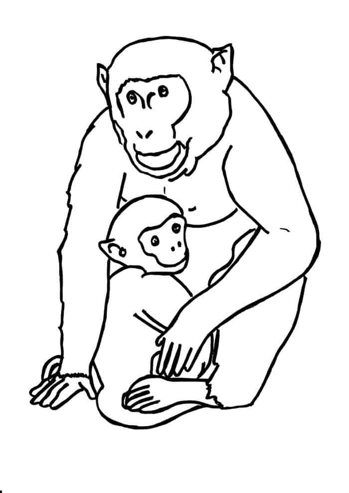 Gorilla Dad With Baby Coloring Pages