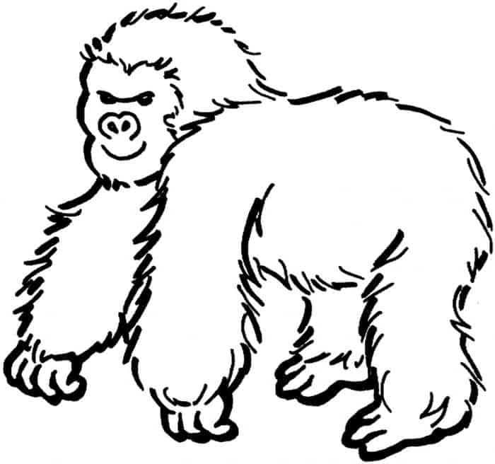 Gorilla Eric Carle Coloring Pages
