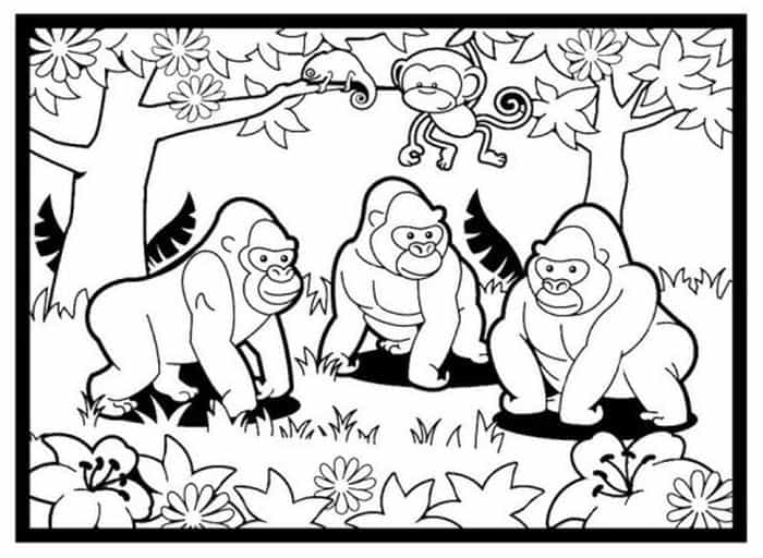 Gorilla Family Coloring Pages