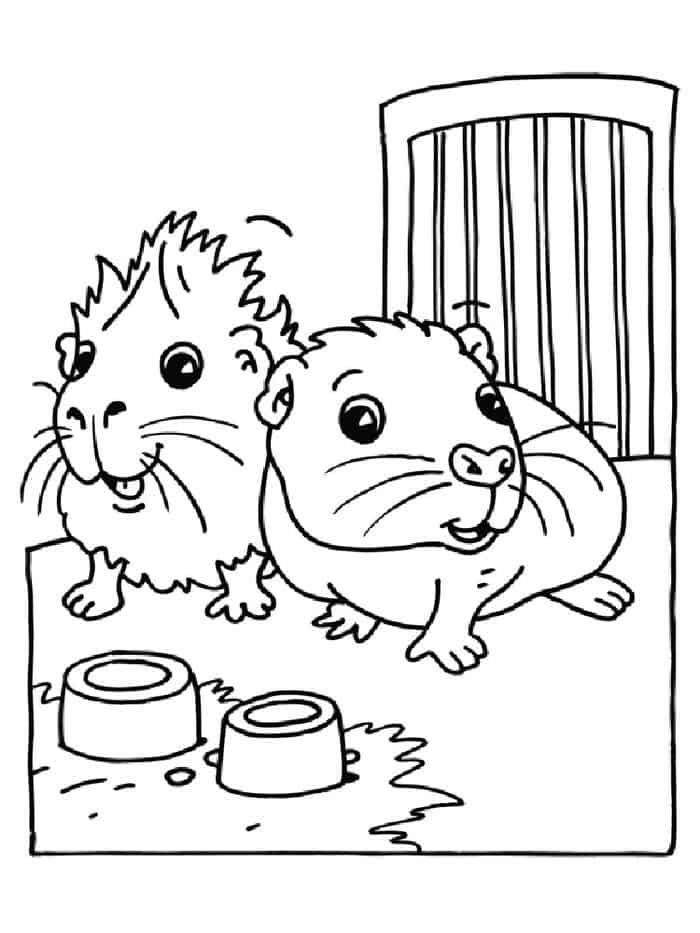 Hamster Coloring Pages Printable Momjunction