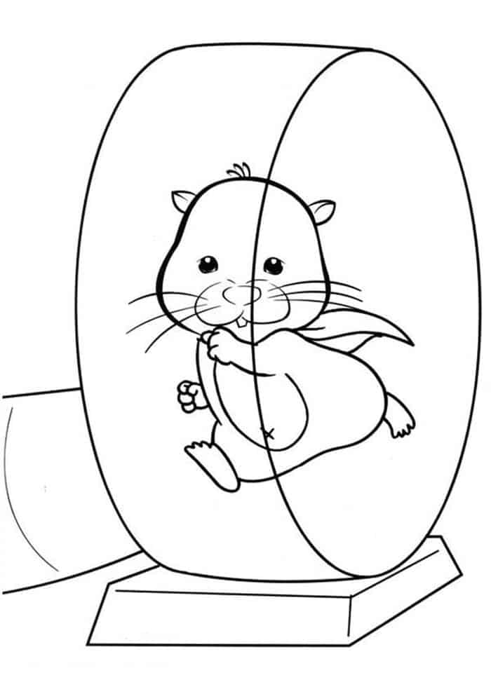 Hamster In Wheel Printable Coloring Pages