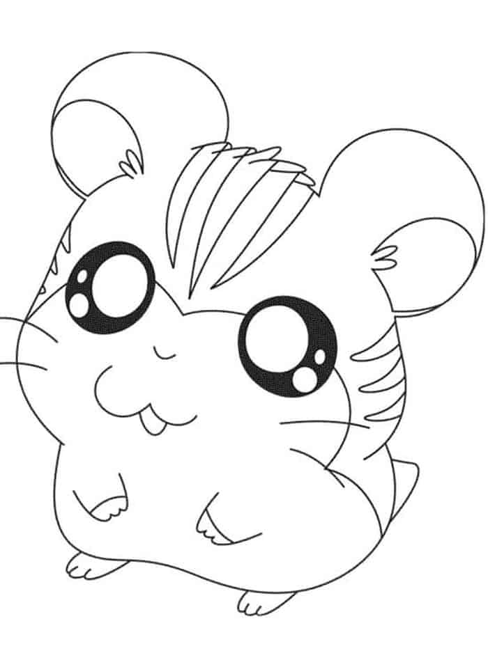 Hamster Printable Coloring Pages