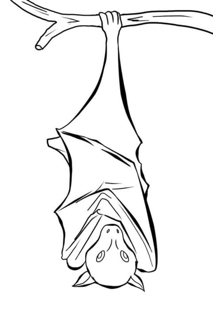 Hanging Bat Clips Coloring Pages
