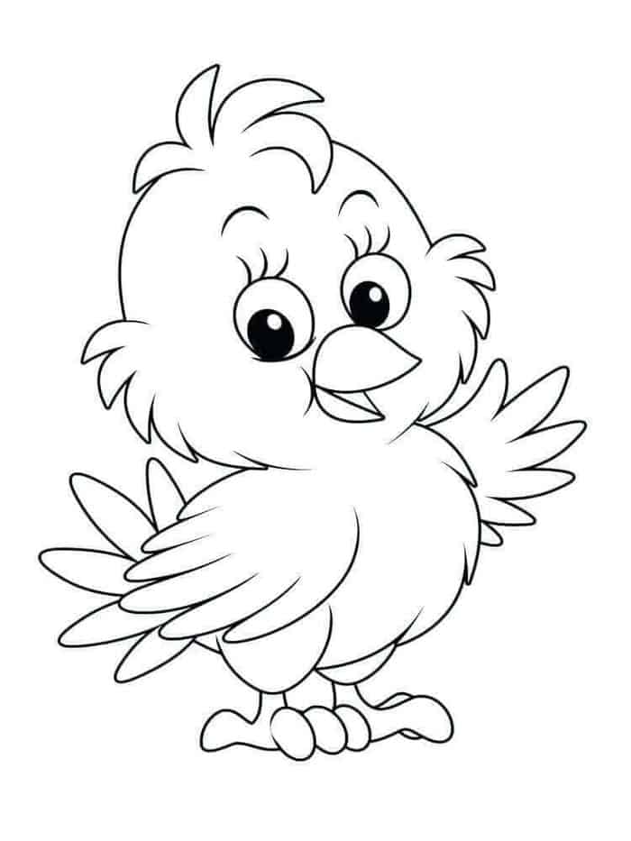 Hay Hay The Chicken Coloring Pages
