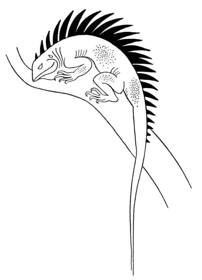 Ice Lizard Coloring Pages