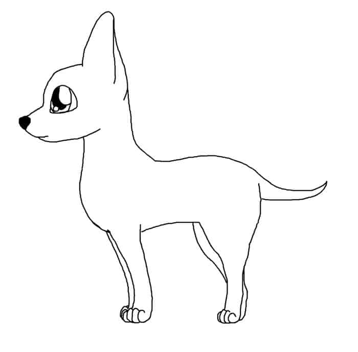 Kids Coloring Pages Chihuahua