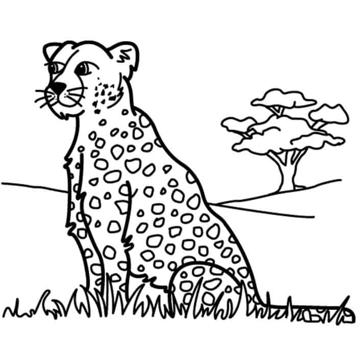 Leopard Coloring Pages For Kids