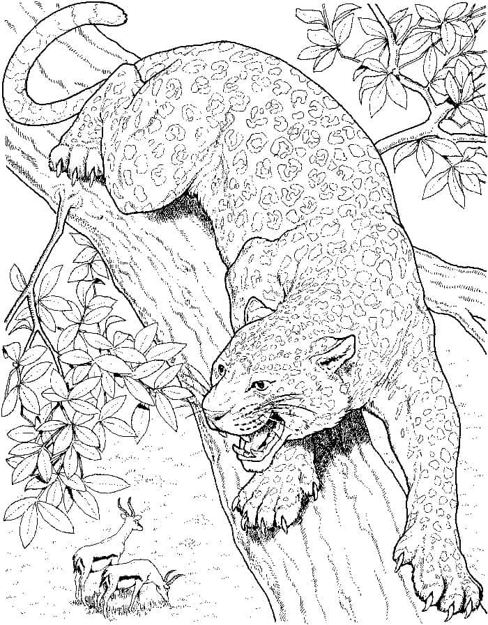 Leopard Cups Coloring Pages Printable