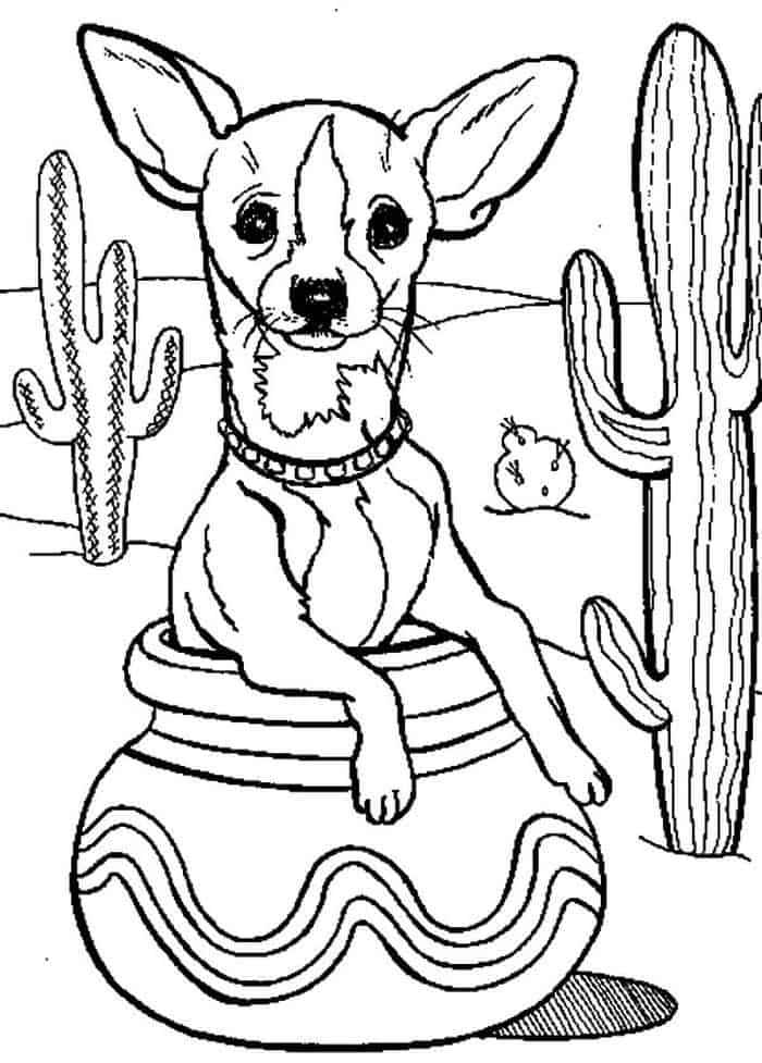 Minicher Pinscher Beagle Chihuahua Mix Free Coloring Pages