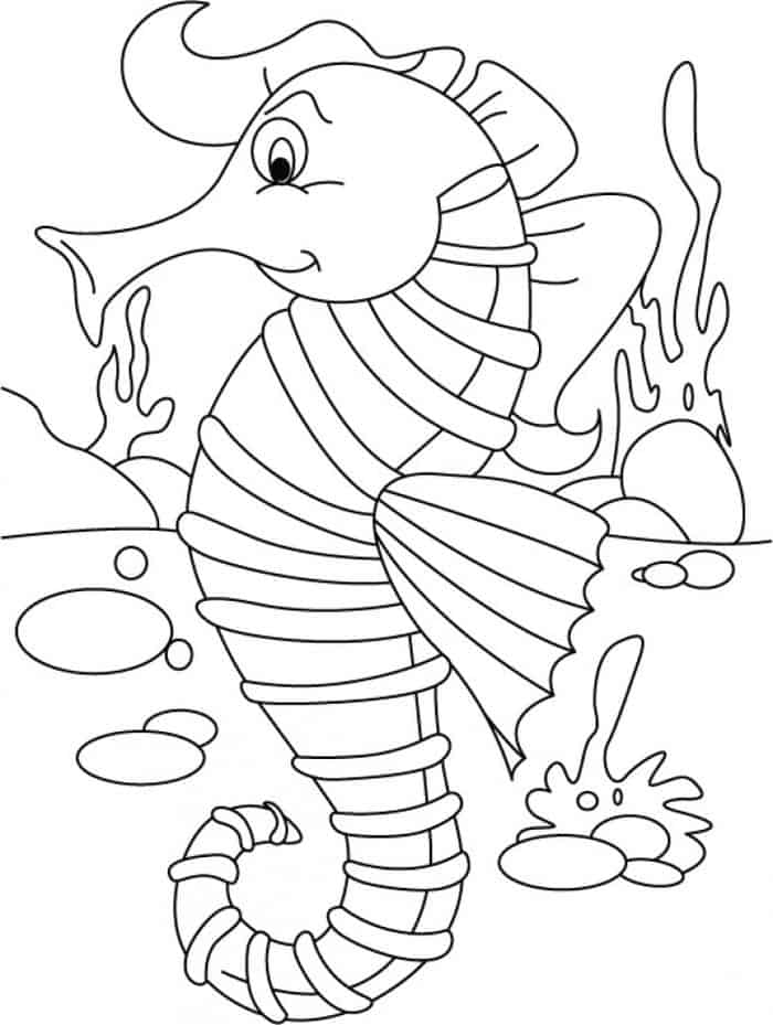 Mister Seahorse Coloring Pages