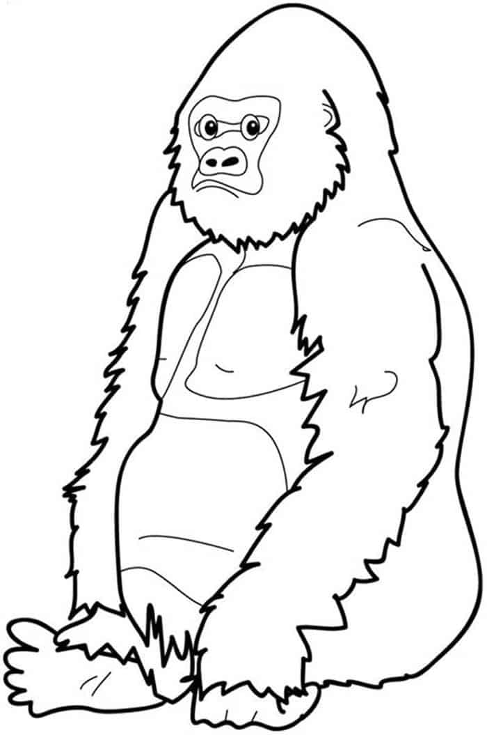 Mountain Gorilla Coloring Pages