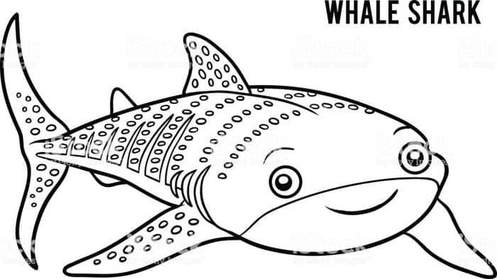 Ocean Animals Coloring Pages Whale Shark