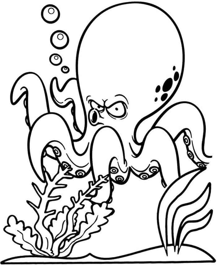 Octopus Coloring Book Pages