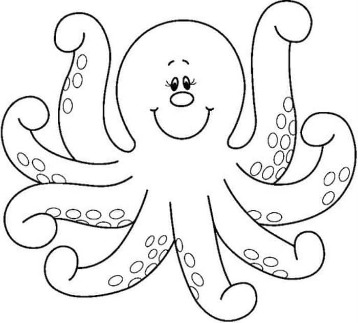 Prek Coloring Pages Octopus