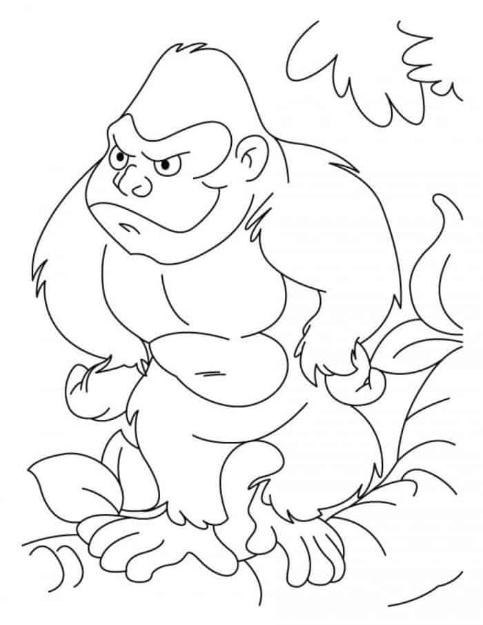 Printable Animal Coloring Pages Gorilla