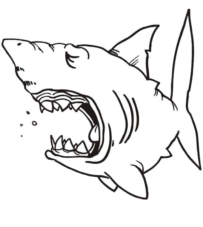 Printable Shark Coloring Pages