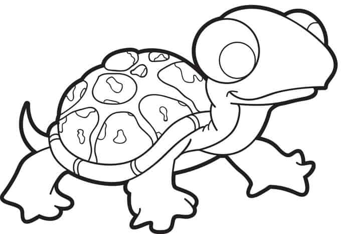 Printable Turtle Coloring Pages