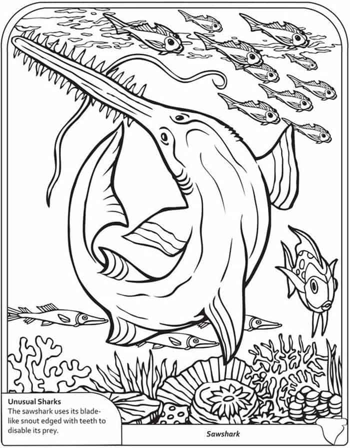 Saw Shark Coloring Pages
