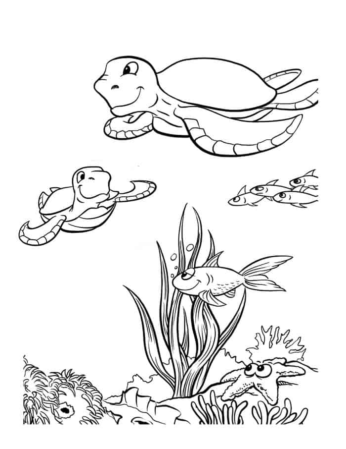 Sea Animals Clipart Coloring Pages