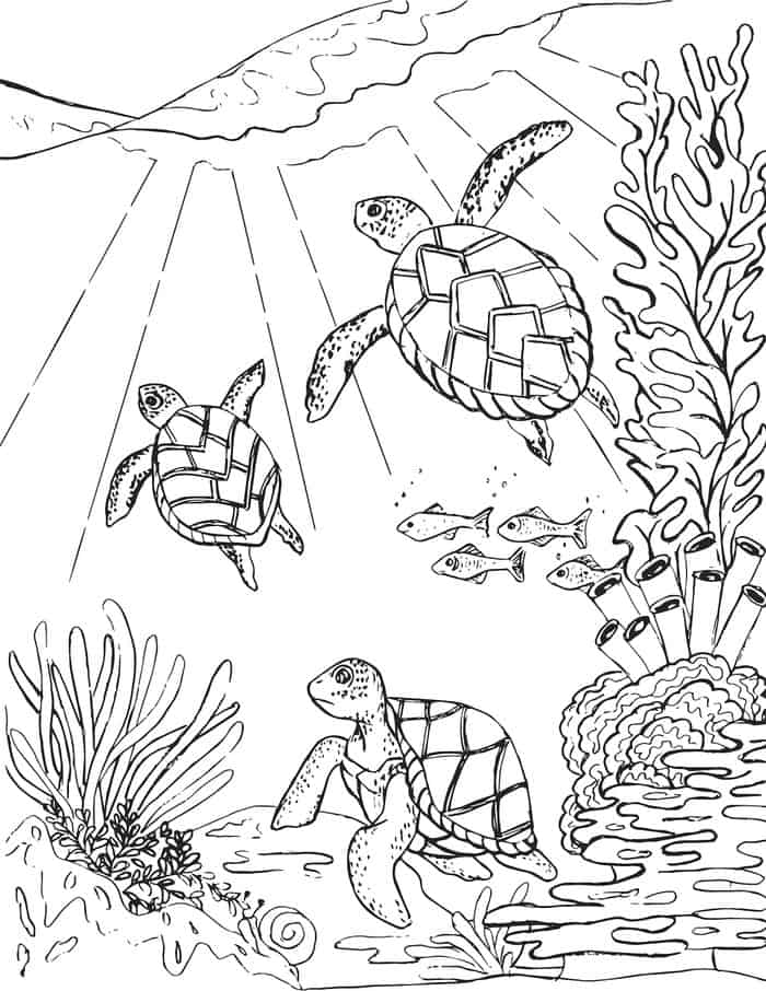 Sea Turtle Animals Coloring Pages