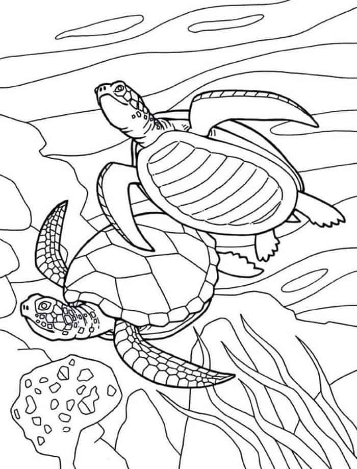 Sea Turtle Coloring Pages For Adults 1
