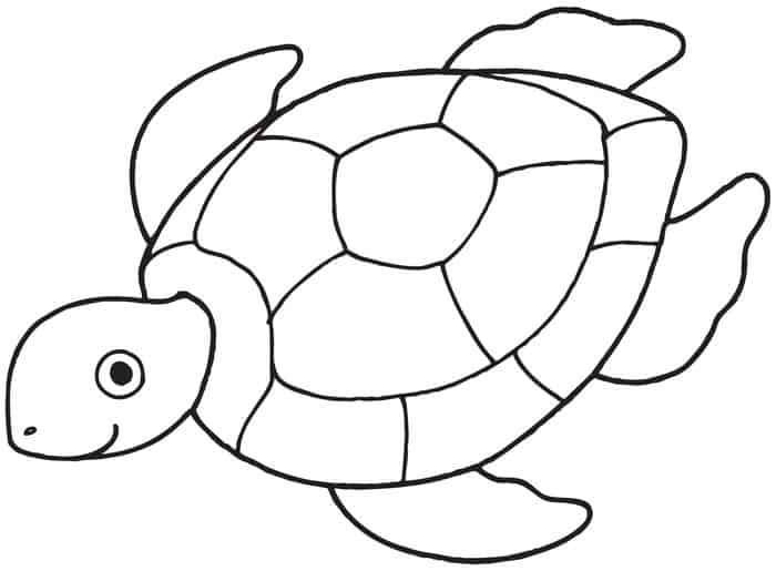 Sea Turtle Coloring Pages For Students