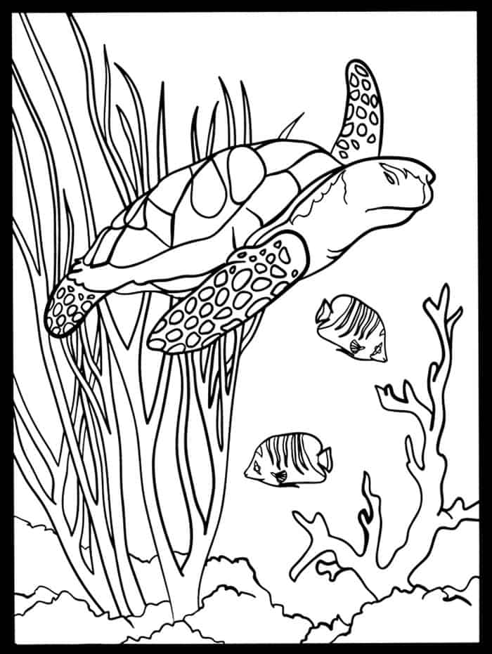 Sea Turtle Habitat Coloring Pages