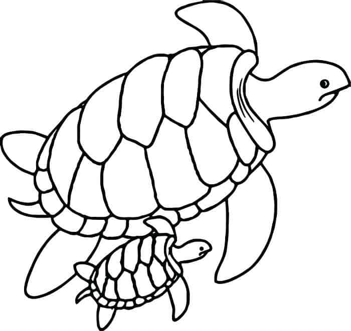 Sea Turtle Mask Coloring Pages