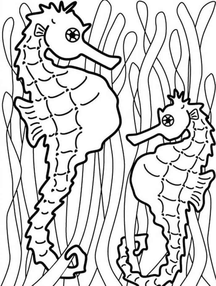 Seahorse Coloring Pages For Adults