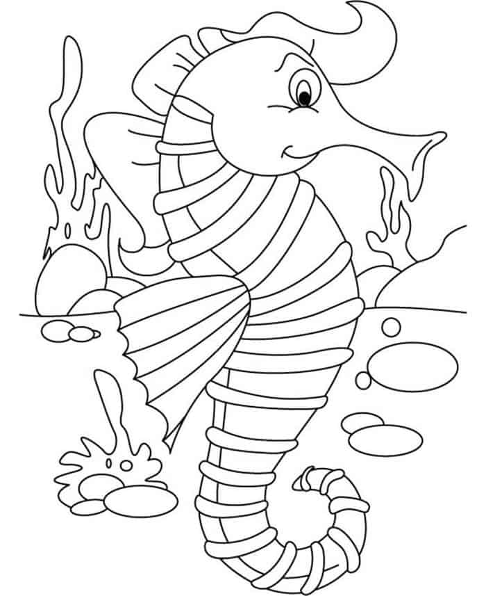 Seahorse Coloring Pages To Print