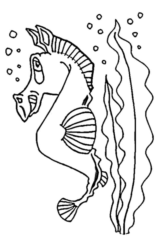 Seahorse Finished Coloring Pages